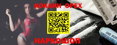 соль ск Новодвинск