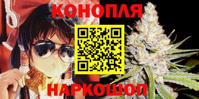 соль ск Новодвинск
