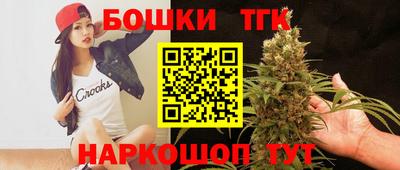 спиды Обь