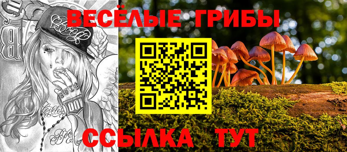 Тара  Псилоцибиновые грибы прущие грибы  Вход с VPN 